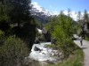 Billede 12