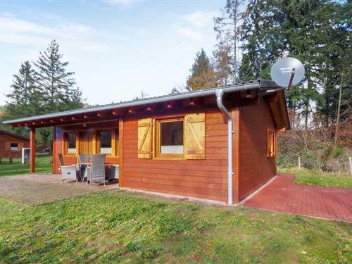 Feriehus - 4 personer -  - Zum Schäferkreuz - Pfälzer Wald/Südwestpfalz - 66978 - Merzalben