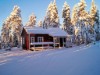 Bild 4 - Ude