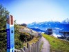 Bild 41 - Ude