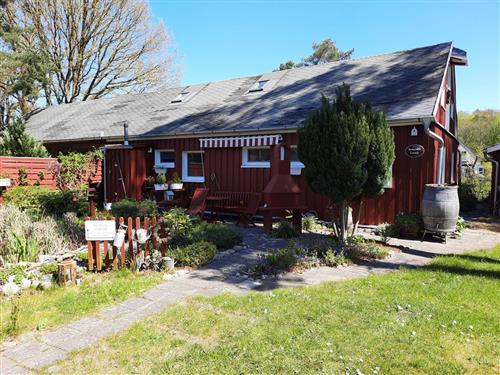 Ferienhaus - 4 Personen -  - Klünnersholz - 18181 - Seeheilbad Graal-Müritz