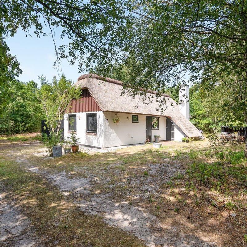 Sommerhus - 5 personer -  - Fyrregangen - Rødhus - 9490 - Pandrup