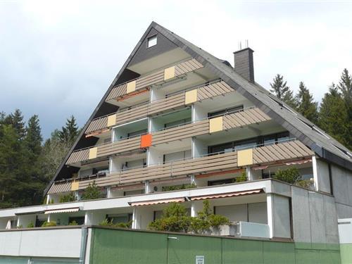 Feriehus - 4 personer -  - 78089 - Unterkirnach