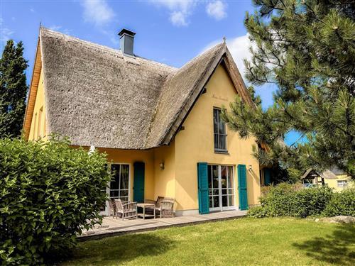 Sommerhus - 12 personer -  - Krienker Dorfstraße - 17406 - Rankwitz