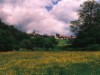 Image 16
