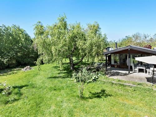 Ferienhaus - 4 Personen -  - Kornstien - 3360 - Liseleje