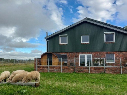 Sommerhus - 6 personer -  - 25899 - Niebüll