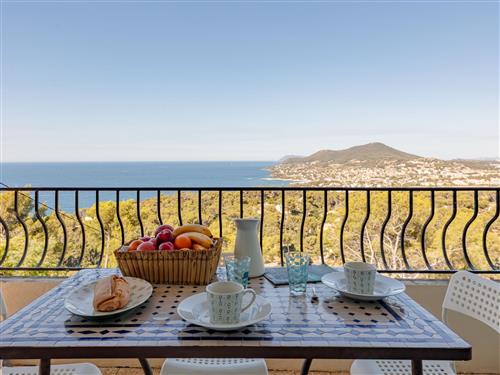 Holiday apartment - 4 persons -  - Carqueiranne - 83320