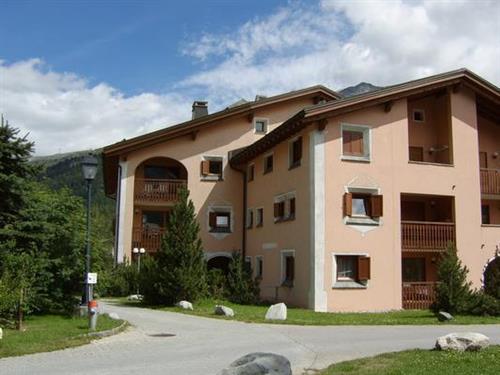 Ferienhaus - 4 Personen -  - Seglias - 7514 - Sils Maria