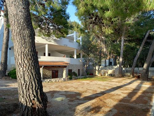 Ferielejlighed - 4 personer -  - Ivan Dolac - 21465 - Jelsa