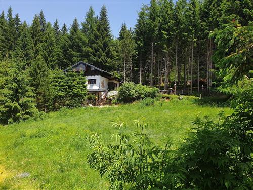 Ferieleilighet - 8 personer -  - Kliening - 9462 - Bad Sankt Leonhard Im Lav