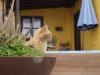 Image 21 - Outside
