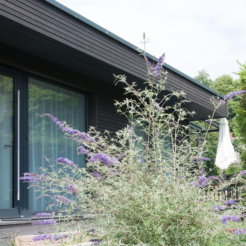 Sommerhus - 3 personer -  - Gronenberger Mühle - 23684 - Scharbeutz