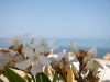 Bild 25 - Aussen