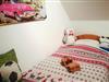 Bild 19