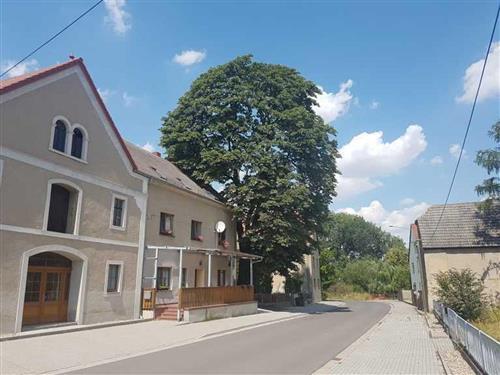 Holiday Home/Apartment - 2 persons -  - Mühlberger Straße - 04758 - Cavertitz