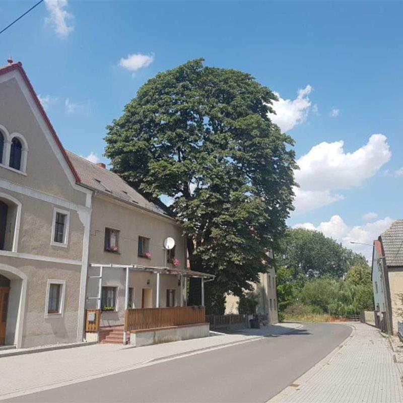  - 2 personer -  - Mühlberger Straße - 04758 - Cavertitz