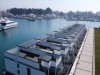 Image 25