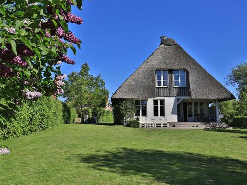 Ferielejlighed - 6 personer -  - Ahornweg - 23942 - Kalkhorst / Groß Schwanse