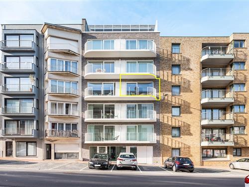 Semesterlägenhet - 4 personer -  - 8670 - Koksijde