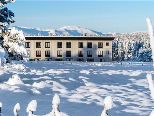 Ferielejlighed - 4 personer -  - Hallinghøvdvegen - 2923 - Tisleidalen