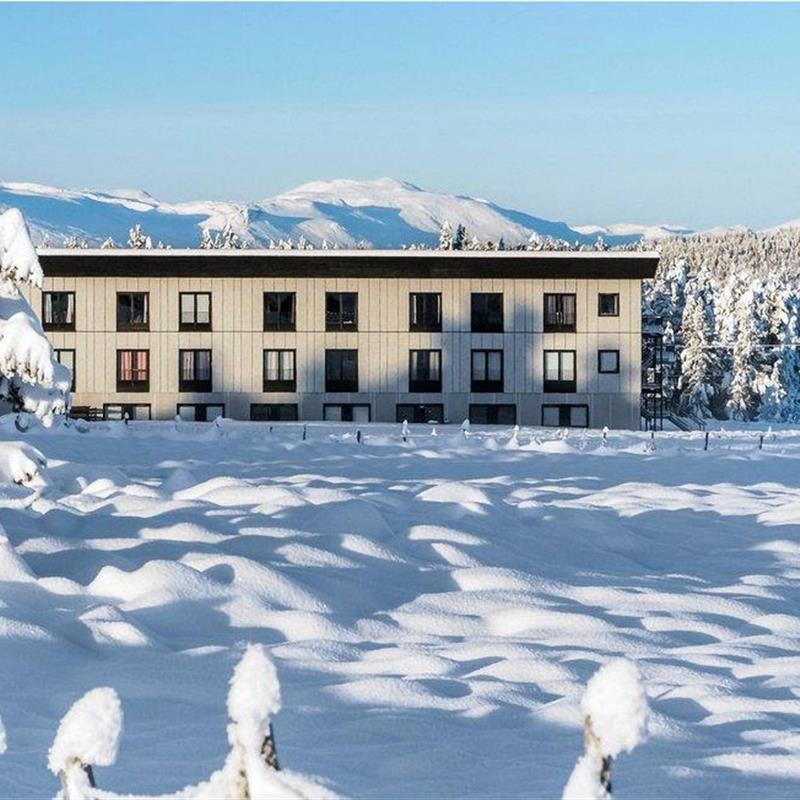 Ferielejlighed - 4 personer -  - Hallinghøvdvegen - 2923 - Tisleidalen