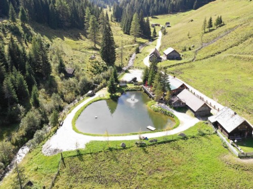 Holiday home - 10 persons -  - Gumpental - 8967 - Haus Im Ennstal