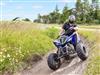 Billede 30