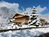 Bild 19