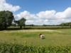 Image 33