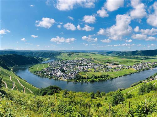 Holiday apartment - 2 persons -  - Brückenstr. - 54498 - Piesport