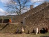 Bild 32