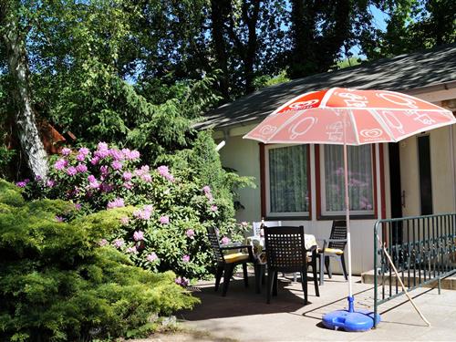 Ferielejlighed - 4 personer -  - Ahornallee - 15848 - Friedland