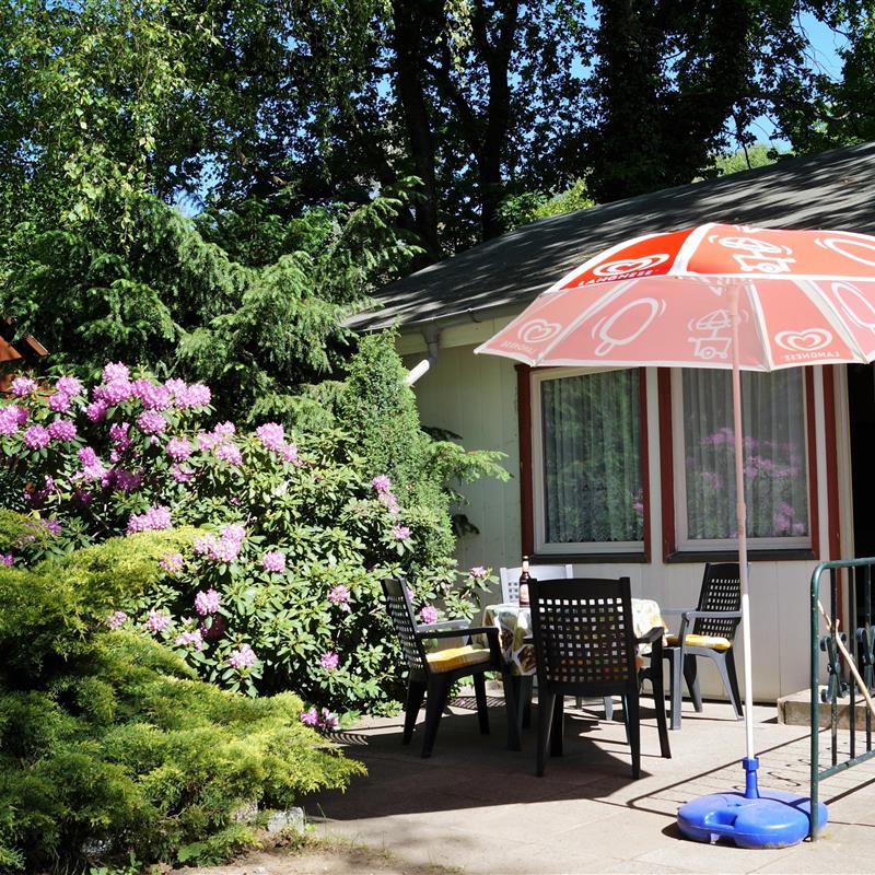 Ferielejlighed - 4 personer -  - Ahornallee - 15848 - Friedland