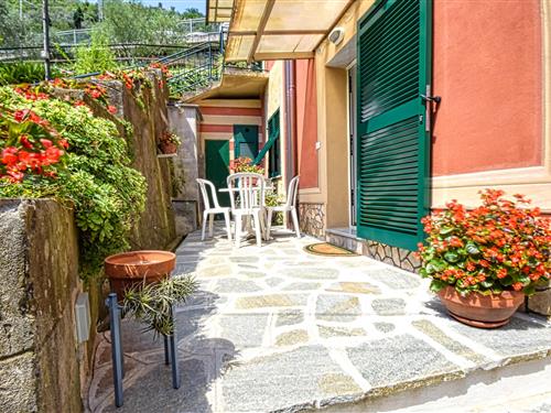 Semesterlägenhet - 4 personer -  - Via Molino Nuovo - Recco - 16036 - Avegno