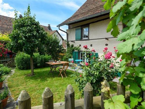Feriehus - 5 personer -  - Hintergasse - 8203 - Schaffhausen