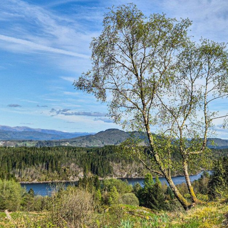 Sommerhus - 6 personer -  - Slettevegen - Alver - 5939 - Sletta