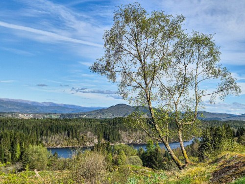 Fritidshus - 6 personer -  - Slettevegen - Alver - 5939 - Sletta