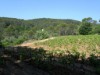 Image 24 - Outside