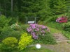 Image 15