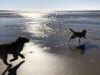 Image 27