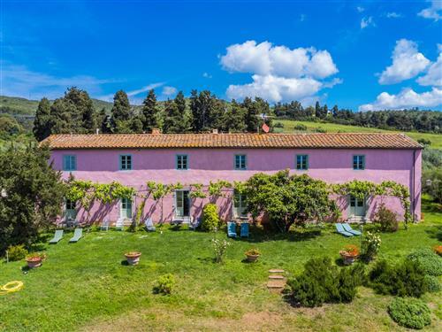 Ferienwohnung - 3 Personen -  - Castiglioncello - 57016
