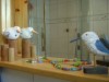 Bild 18