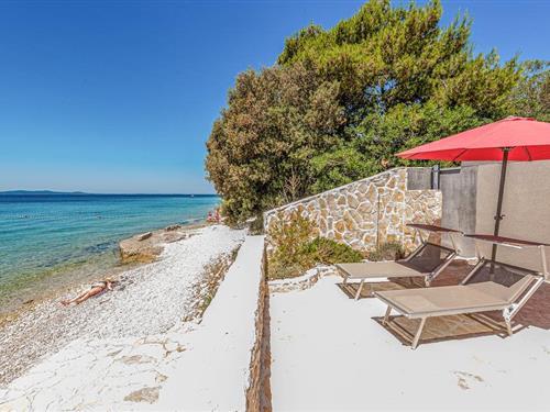 Holiday apartment - 3 persons -  - Punta Radman, Put XX - Zadar - Petrcane - 23231 - Petrcane