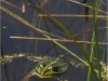 Bild 19