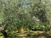 Image 14
