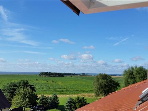 Ferieleilighet - 4 personer -  - Zum Borken - 17406 - Stolpe