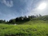 Bild 63