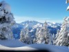Bild 52