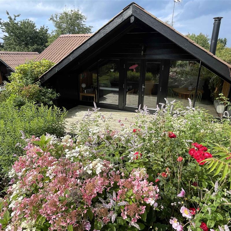Ferienhaus - 6 Personen -  - Gøgevej - 3120 - Dronningmölle
